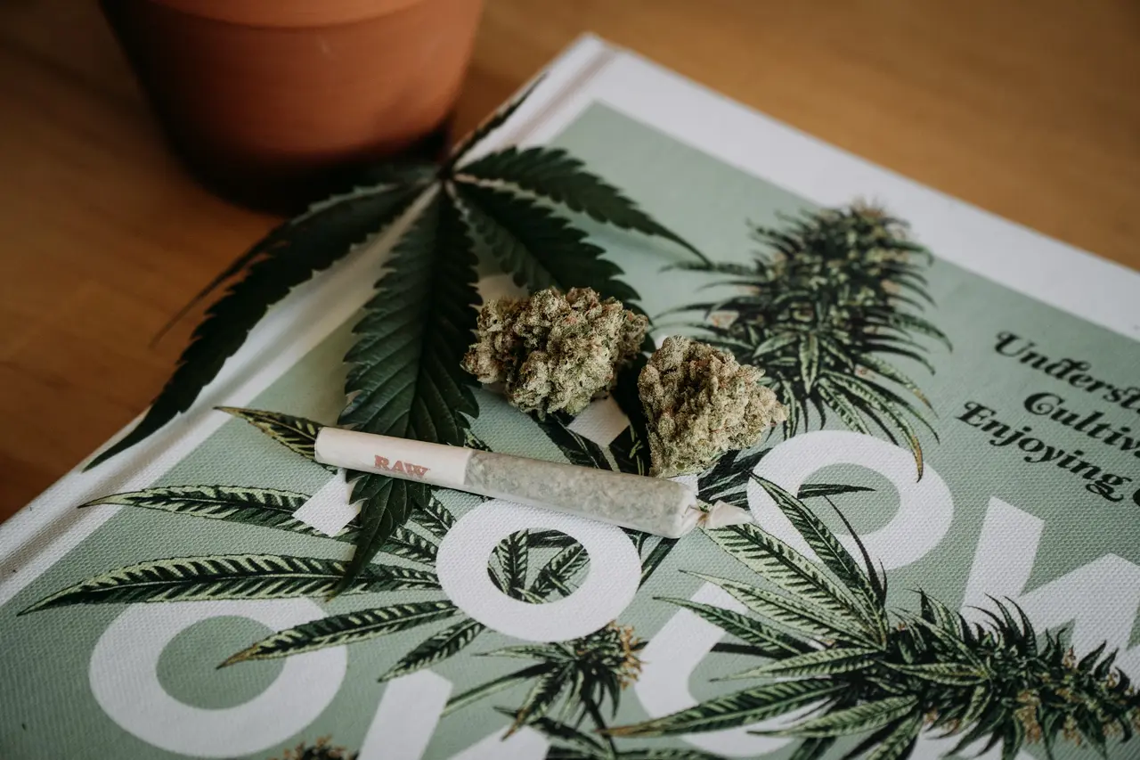 Cannabis for Beginners