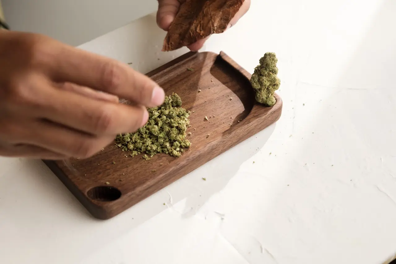 Indica vs Sativa vs Hybrid