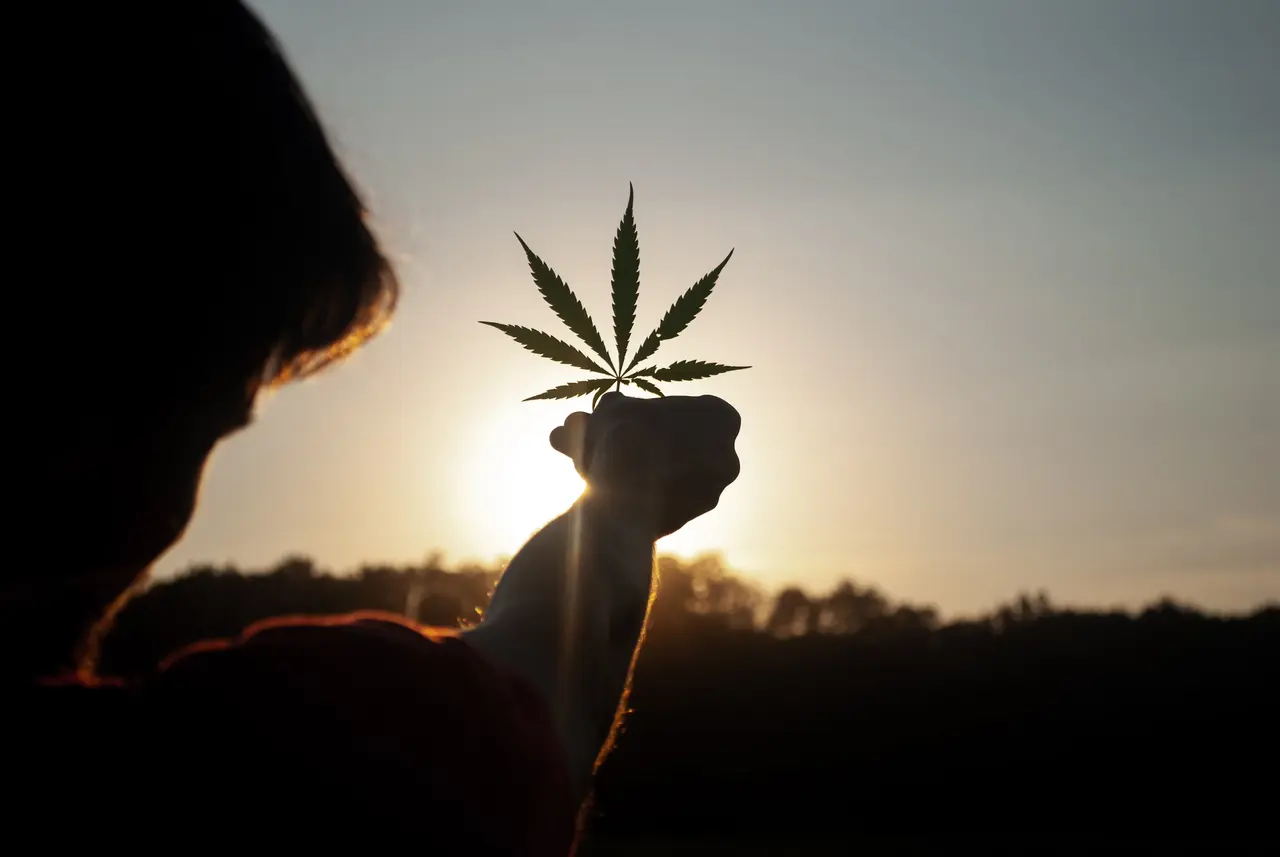 Cannabis for Beginners