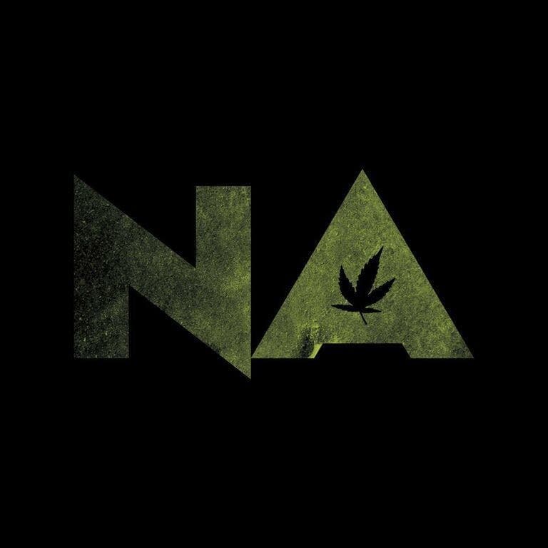 Natural Alternatives logo