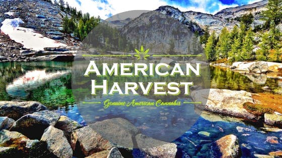 American Harvest logo