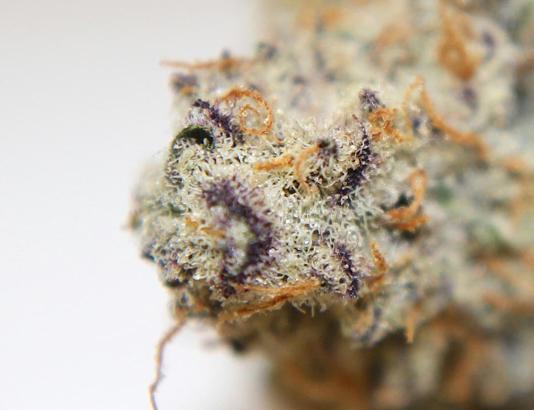 Three Rivers Dispensary - REC logo