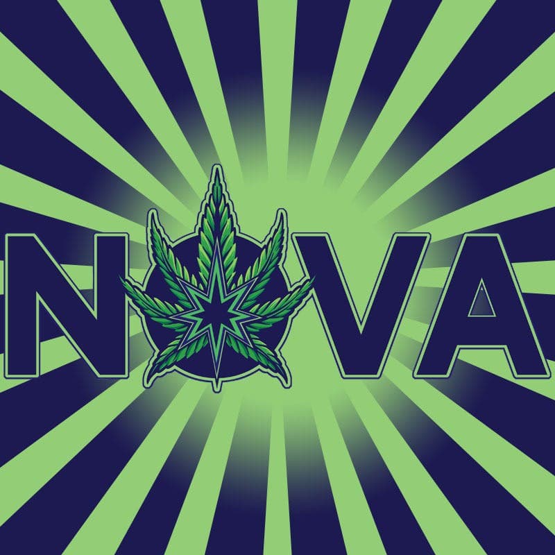 Nova Cannabis of Marietta logo