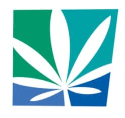 Burlington Cannabis Co. logo