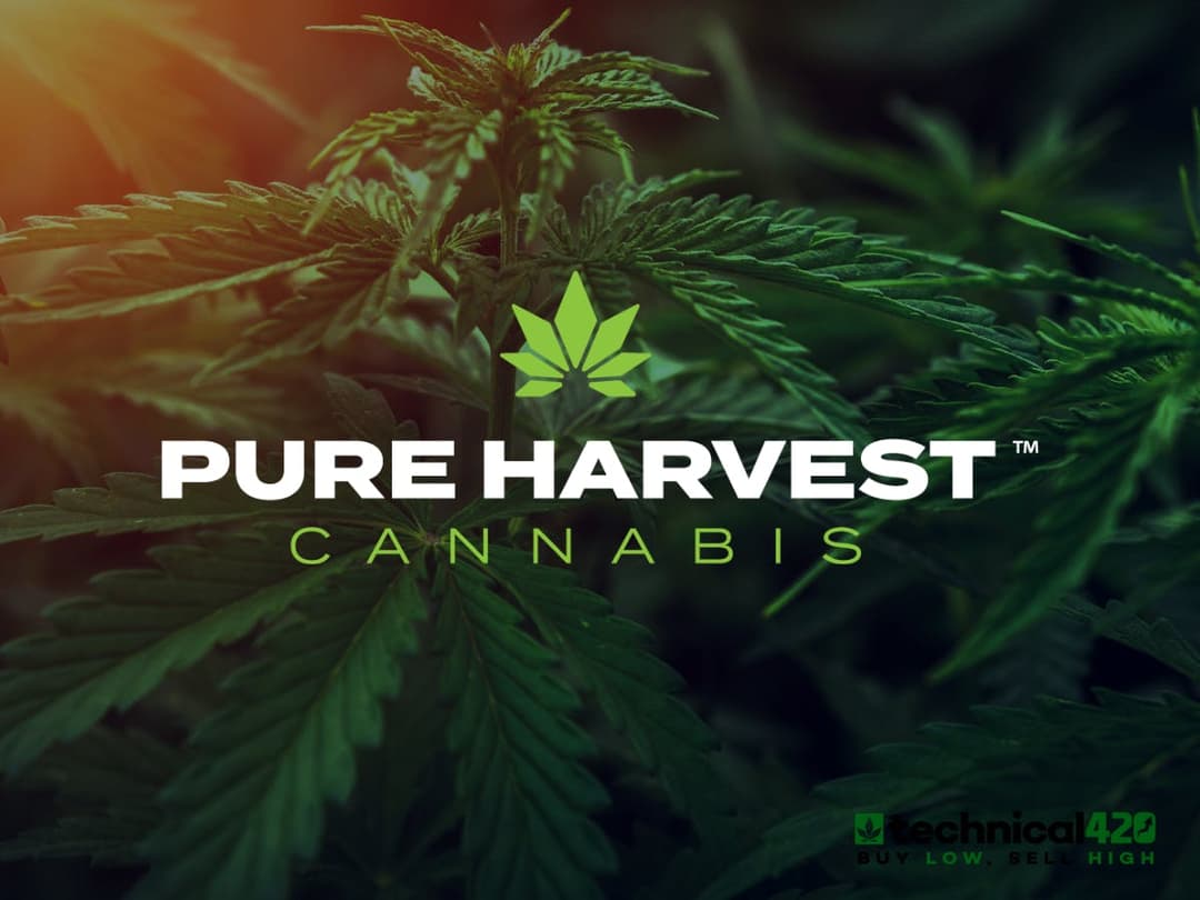 Pure Harvest logo