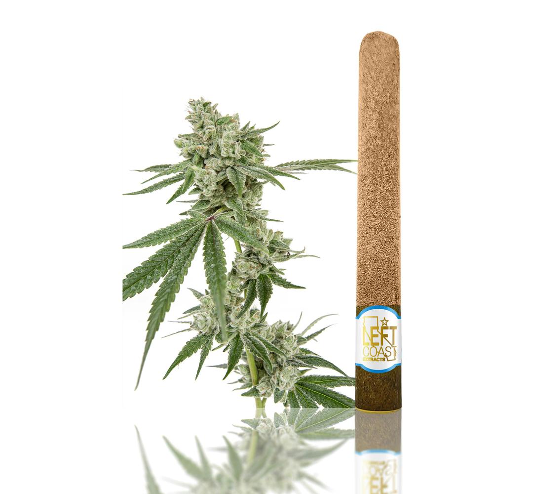 Premium Blunt Roll 2.2 Grams -Maui Waui-