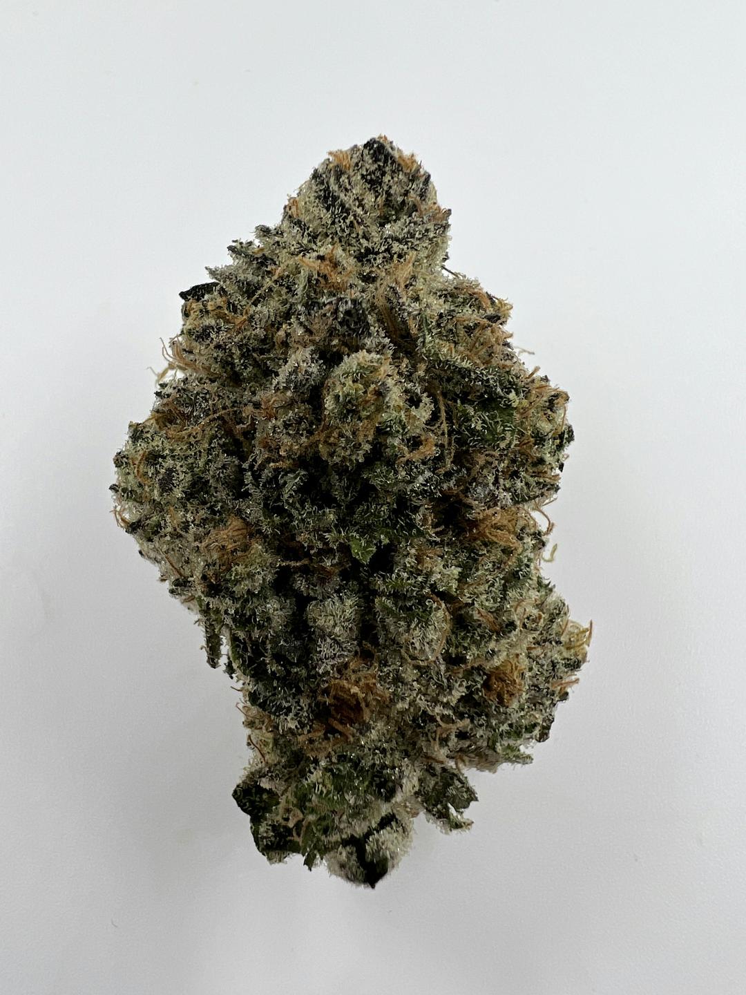 G12