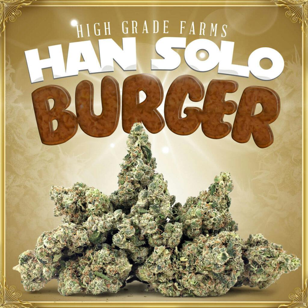 Han Solo Burger 3.5G