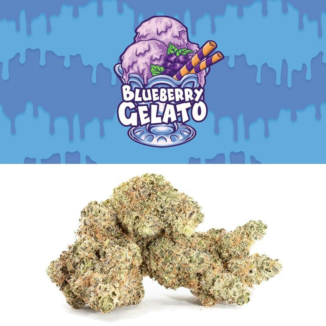 Blueberry Gelato