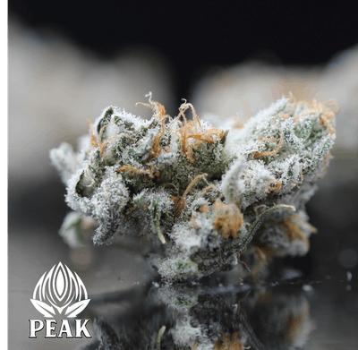 Platinum Cake - Peak Maine