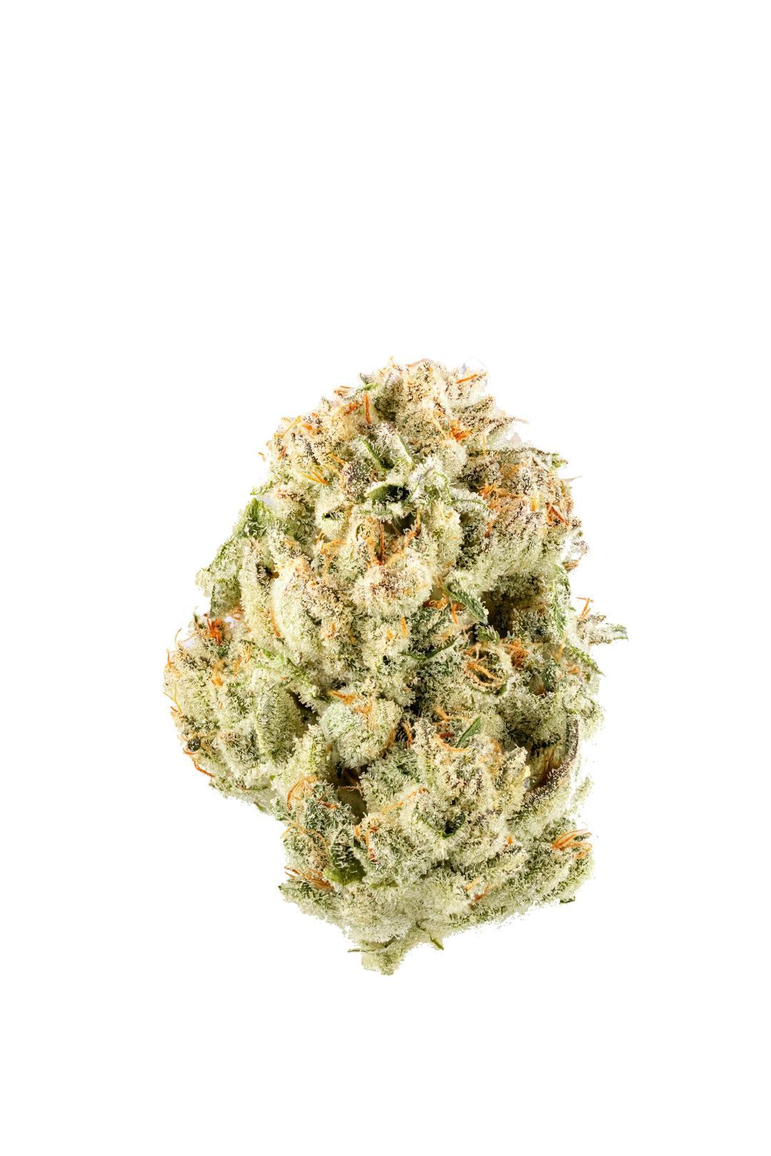 GG4