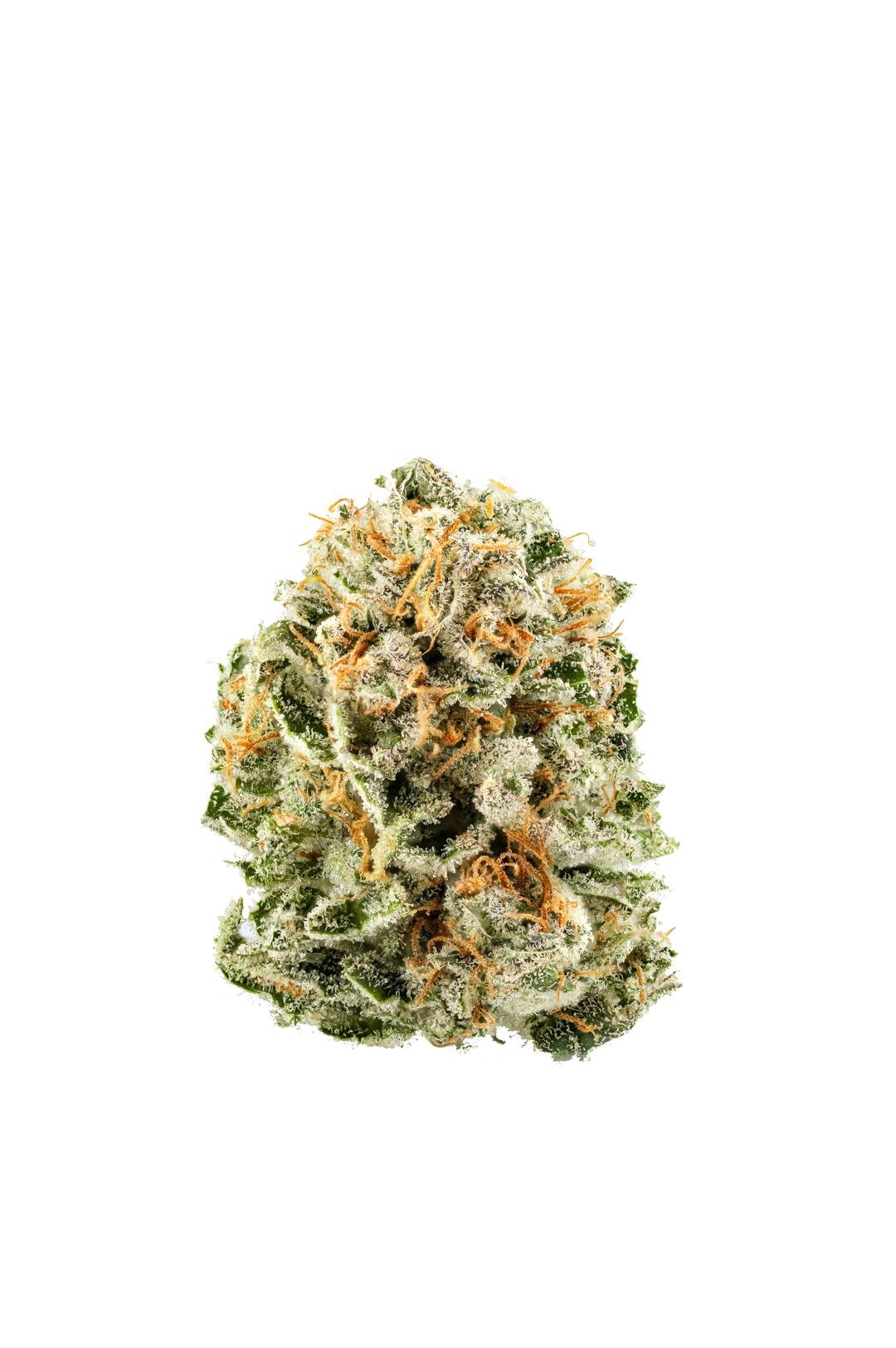 Lilac Diesel