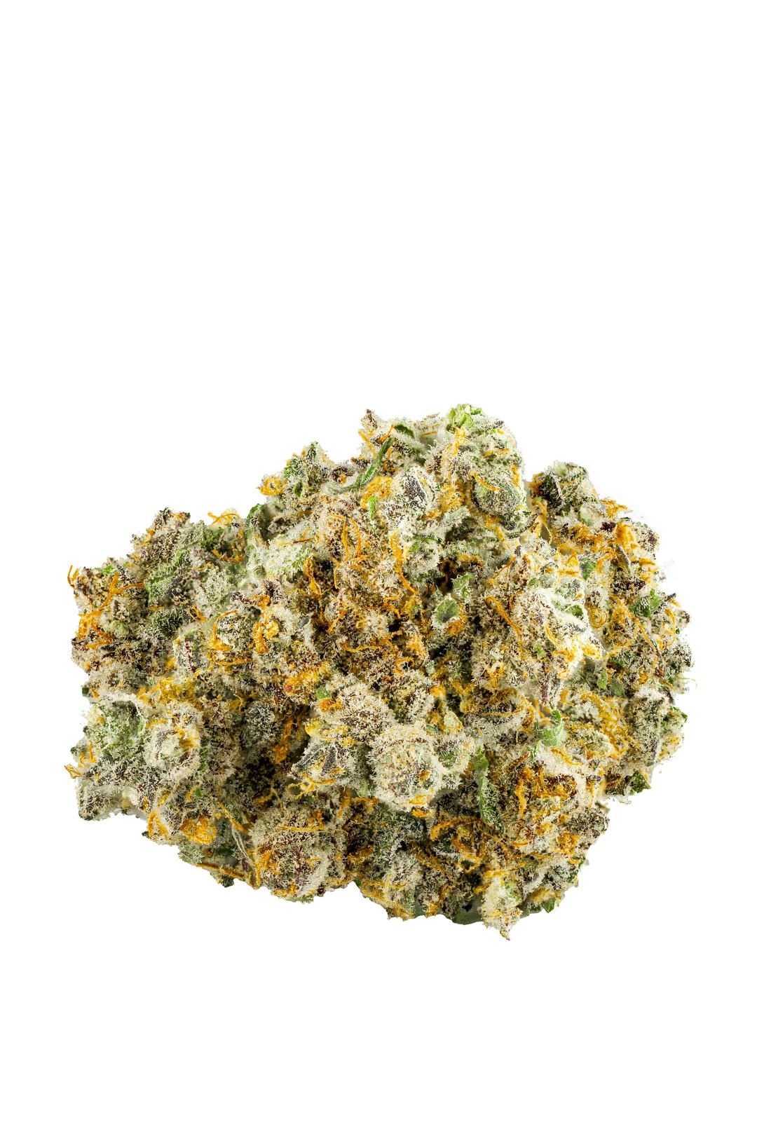 London Pound Mints 11