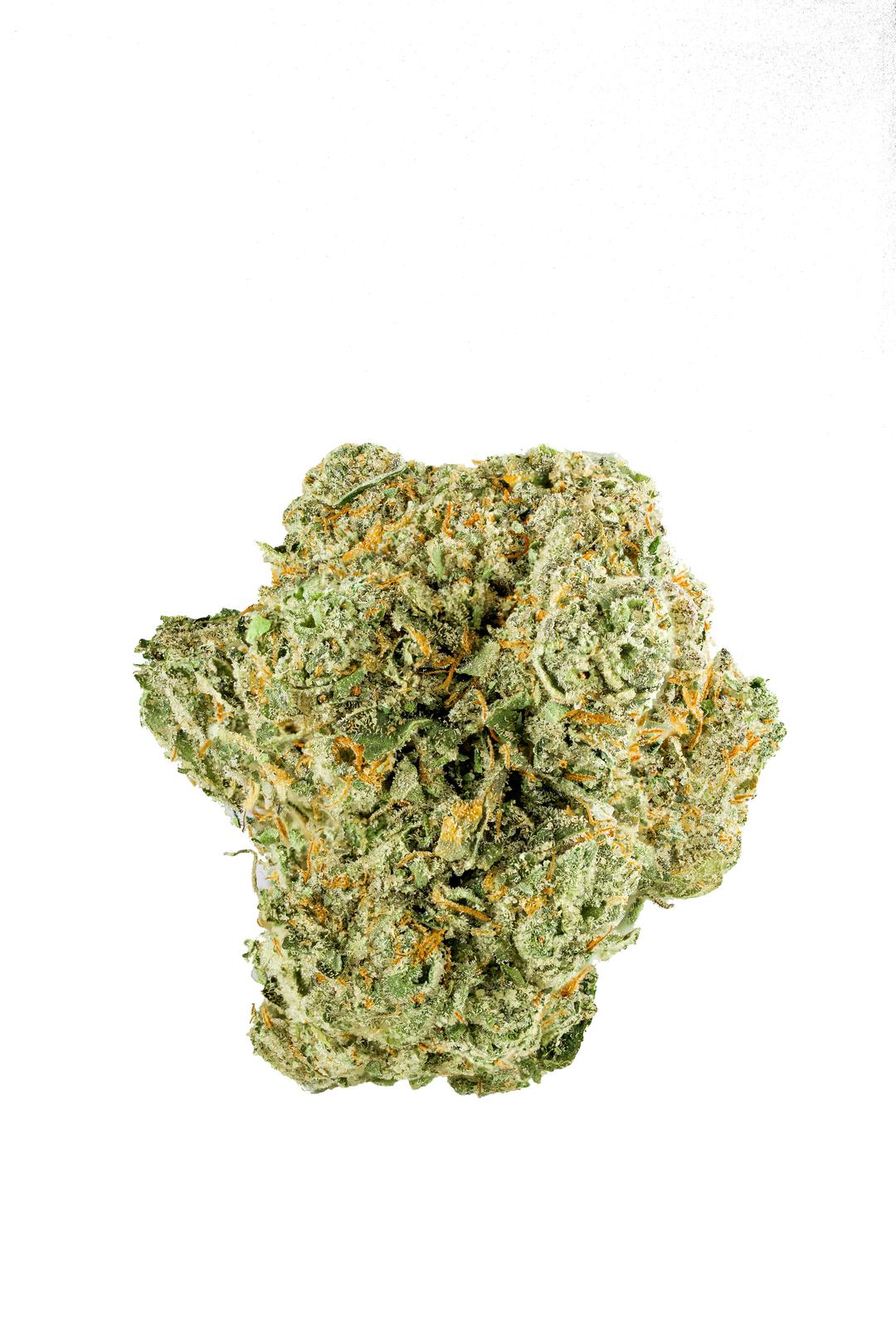 Quattro Kush