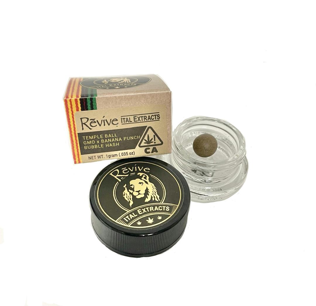 Temple Ball- GMO x Banana Punch Bubble Hash