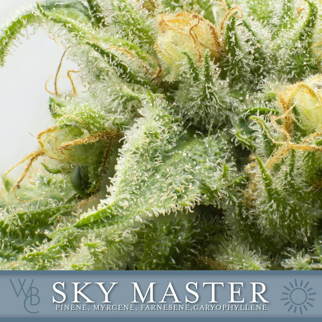 Sky Master
