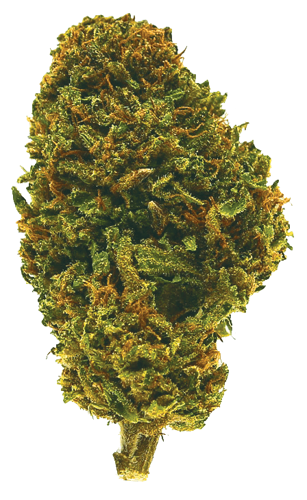 Strawberry G 8th/3.5 Grams (8.96% THC/17.6% CBD) Perfect 3:1