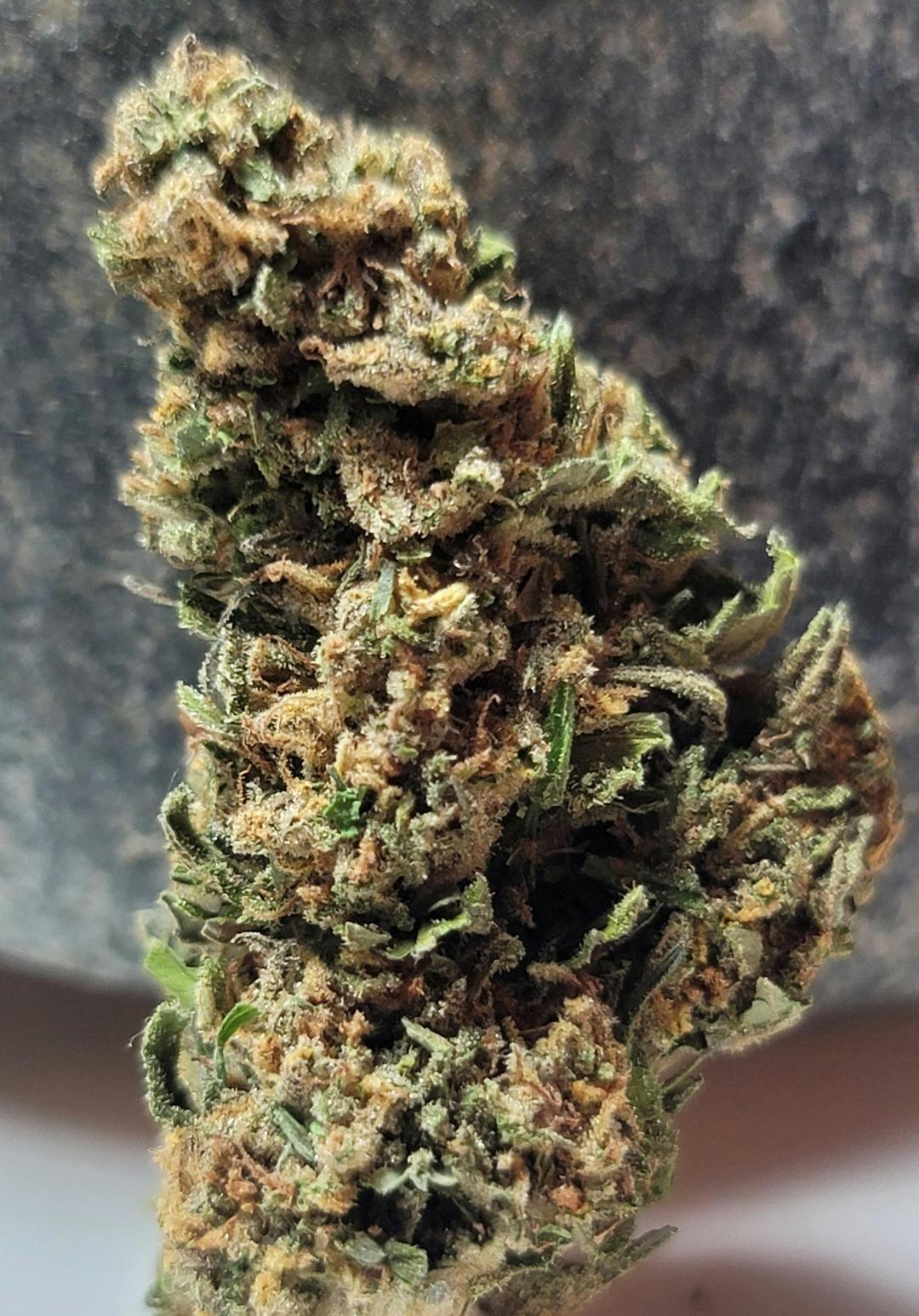 $100 Ounce of the Day - Jager Skywalker