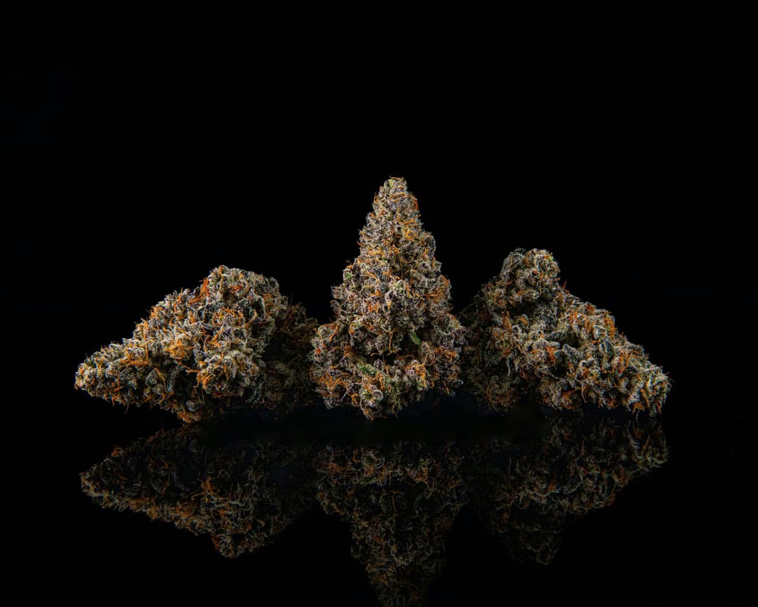 Kush Mints