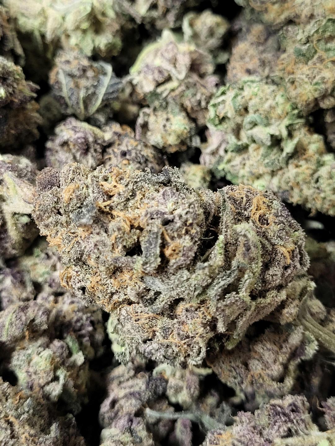 Gorilla zkittlez