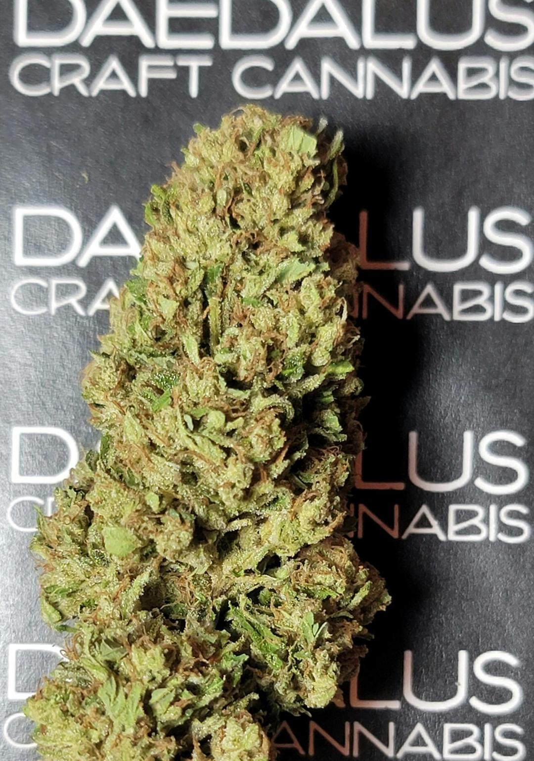 $100 Ounce Deal of the Day - NYPD X GSC