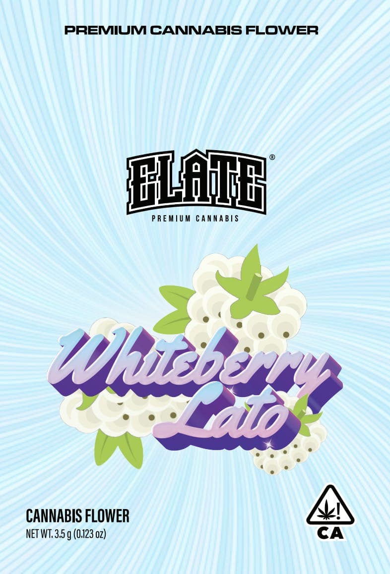 WHITEBERRY LATO 3.5G