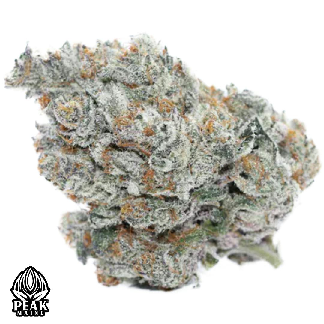 Hot Tropic - Peak Maine