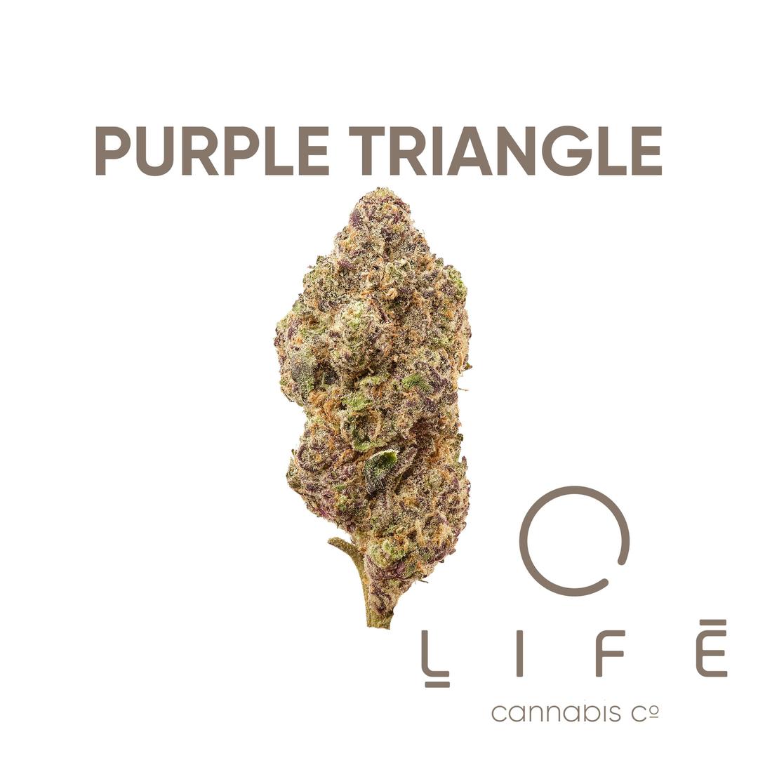 Purple Triangle
