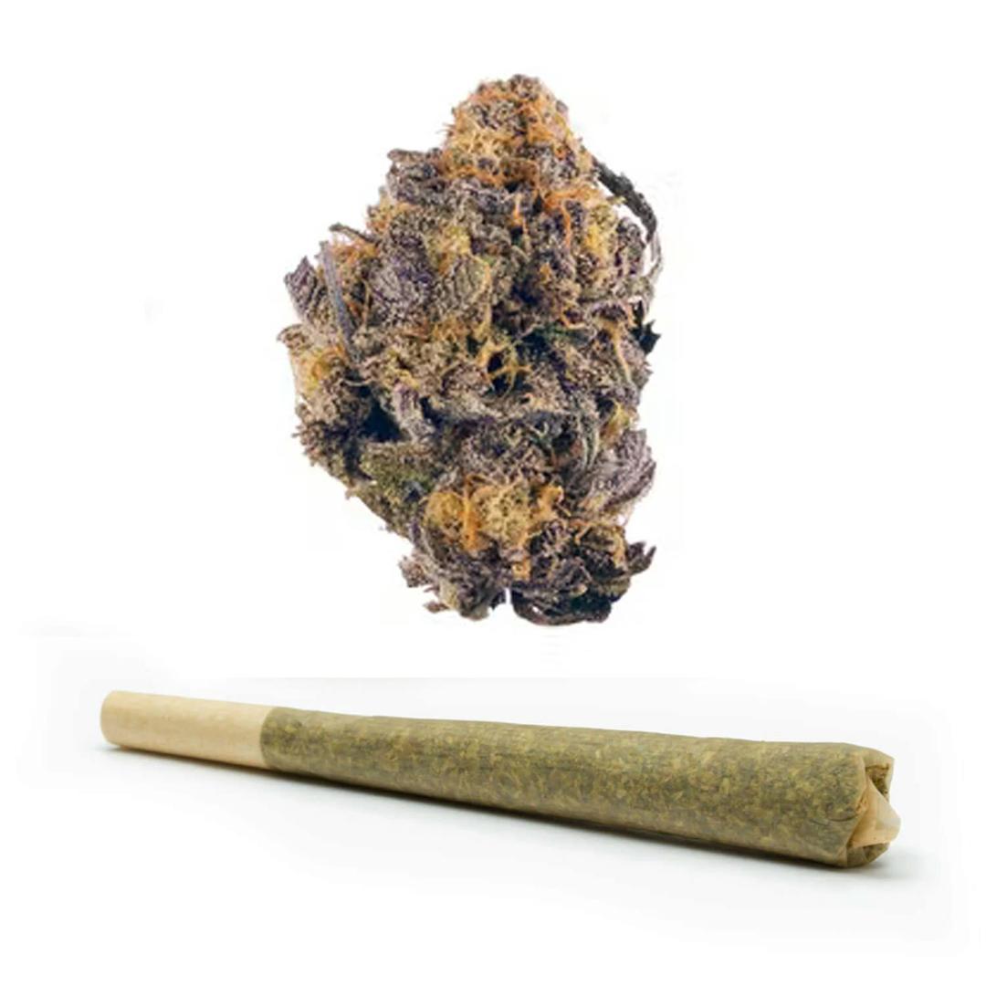 Querkle Pre Roll