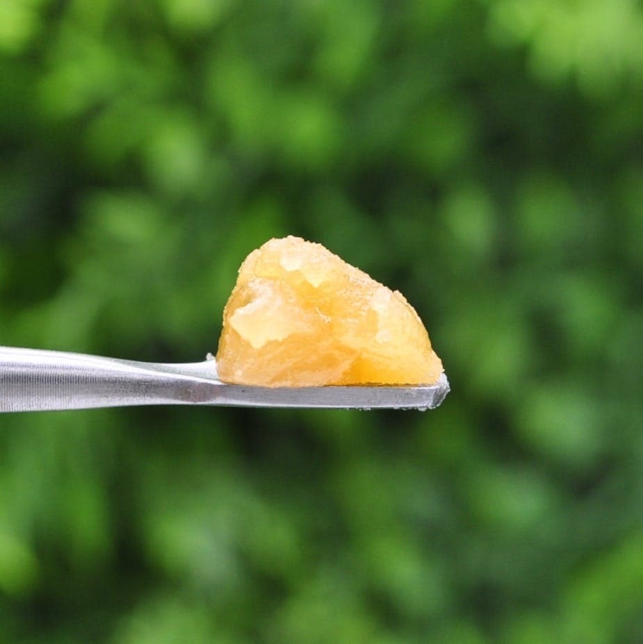 Monkey Cake - Sugar - 1g