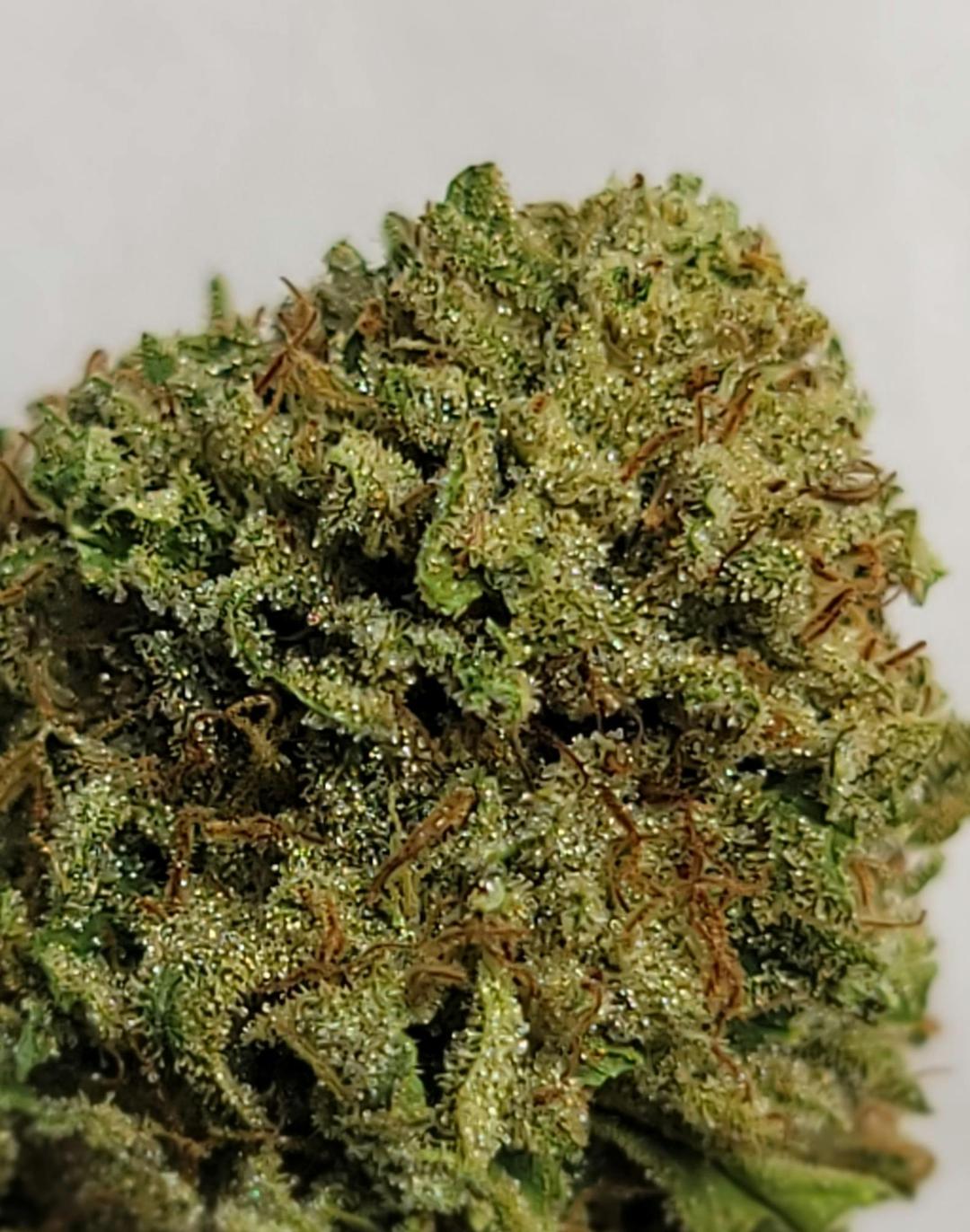 $100 Ounce of the Day - OG Kush
