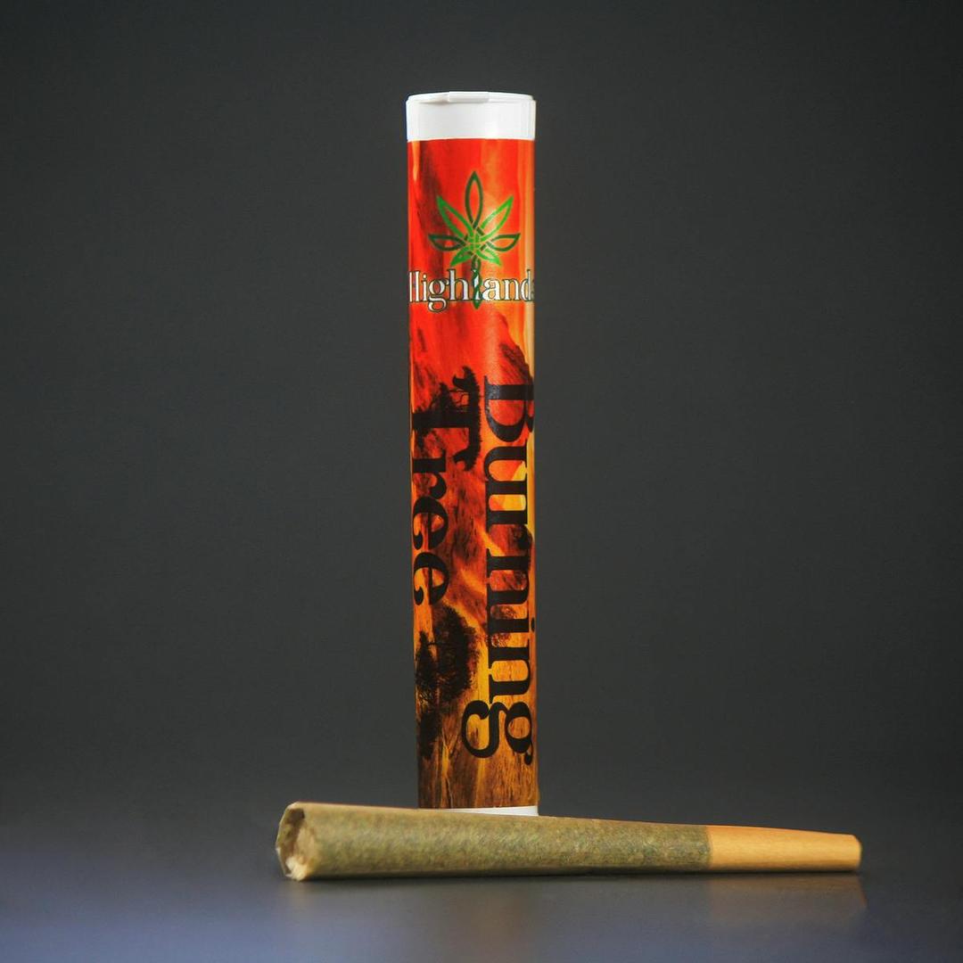 Burning Tree | 1g Premium Pre Roll