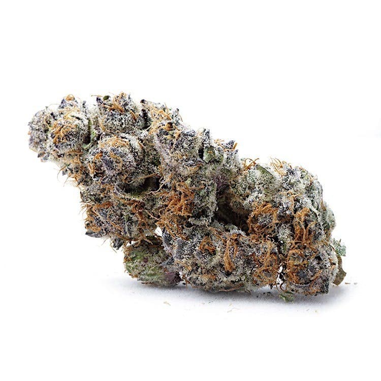 Galactic Glue | Indoor