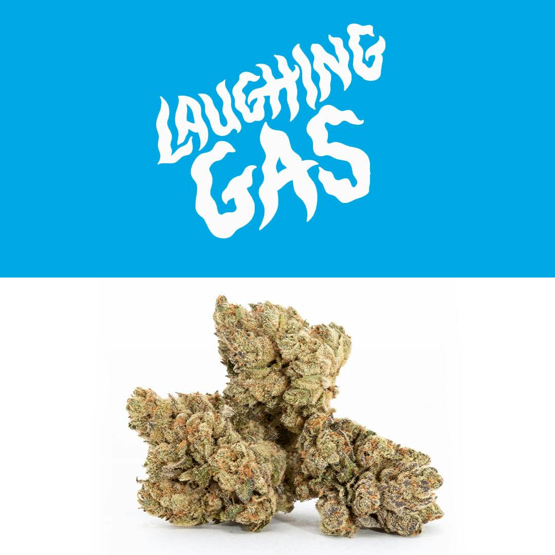 Laughing Gas