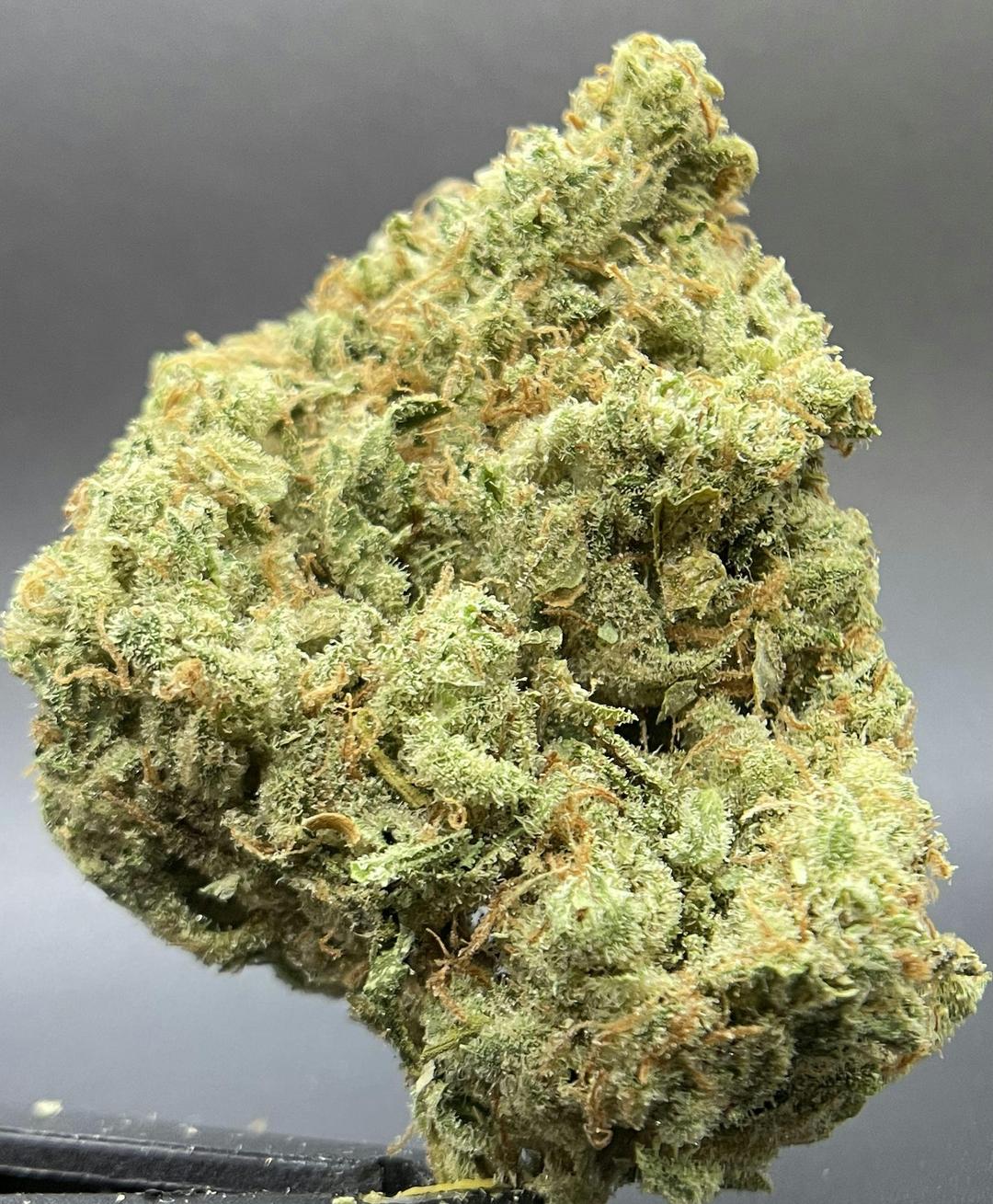 Salty Dawg Flower