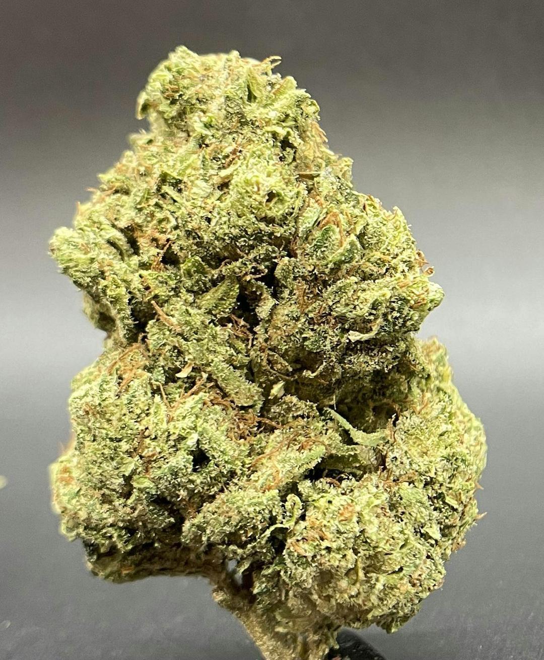 Rocket Fuel Flower
