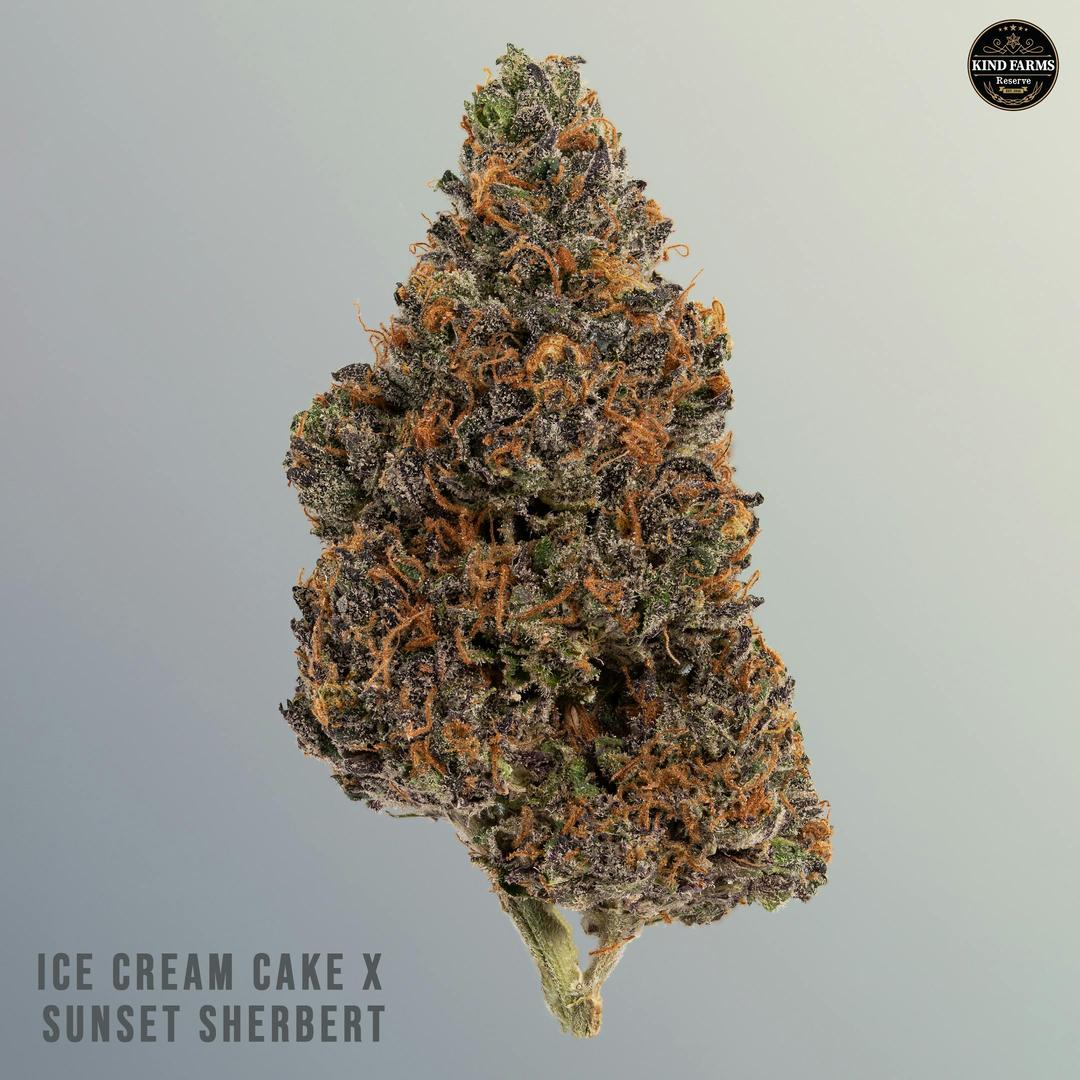 Ice Cream Cake x Sunset Sherbet - Kind Farms Reserve