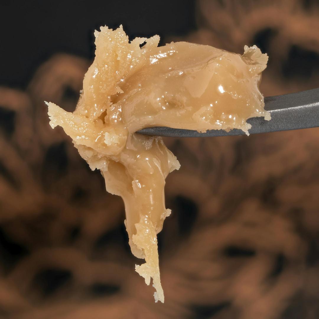 Chocolate Dipped Bananas Live Hash Rosin - Kind Farms Reserve