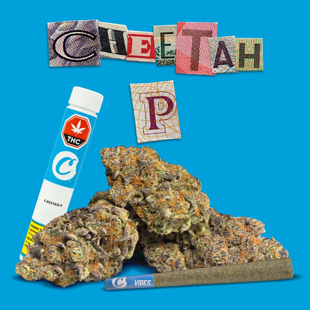 Cheetah P 1g Preroll