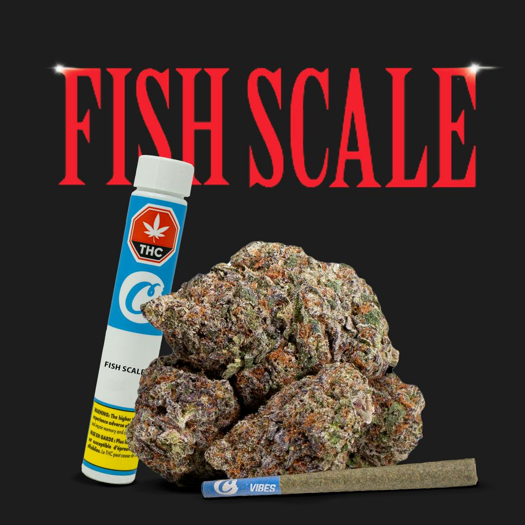 Fish Scale 1g Preroll