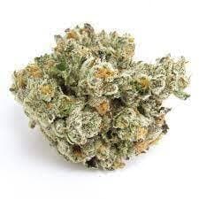 Royal Gas- Gasface OG 28g