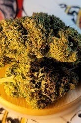 $100 Ounce Deal of the Day - Doja Cookies