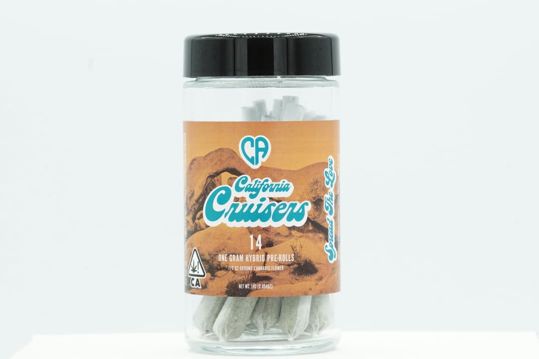 California Cruisers Sativa- Chocolatina x Dreamwalker