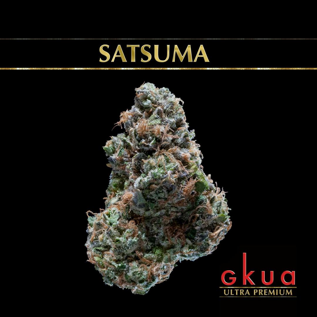 Satsuma