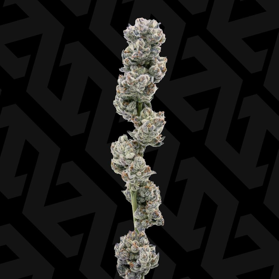Cookies & Cream — Popcorn