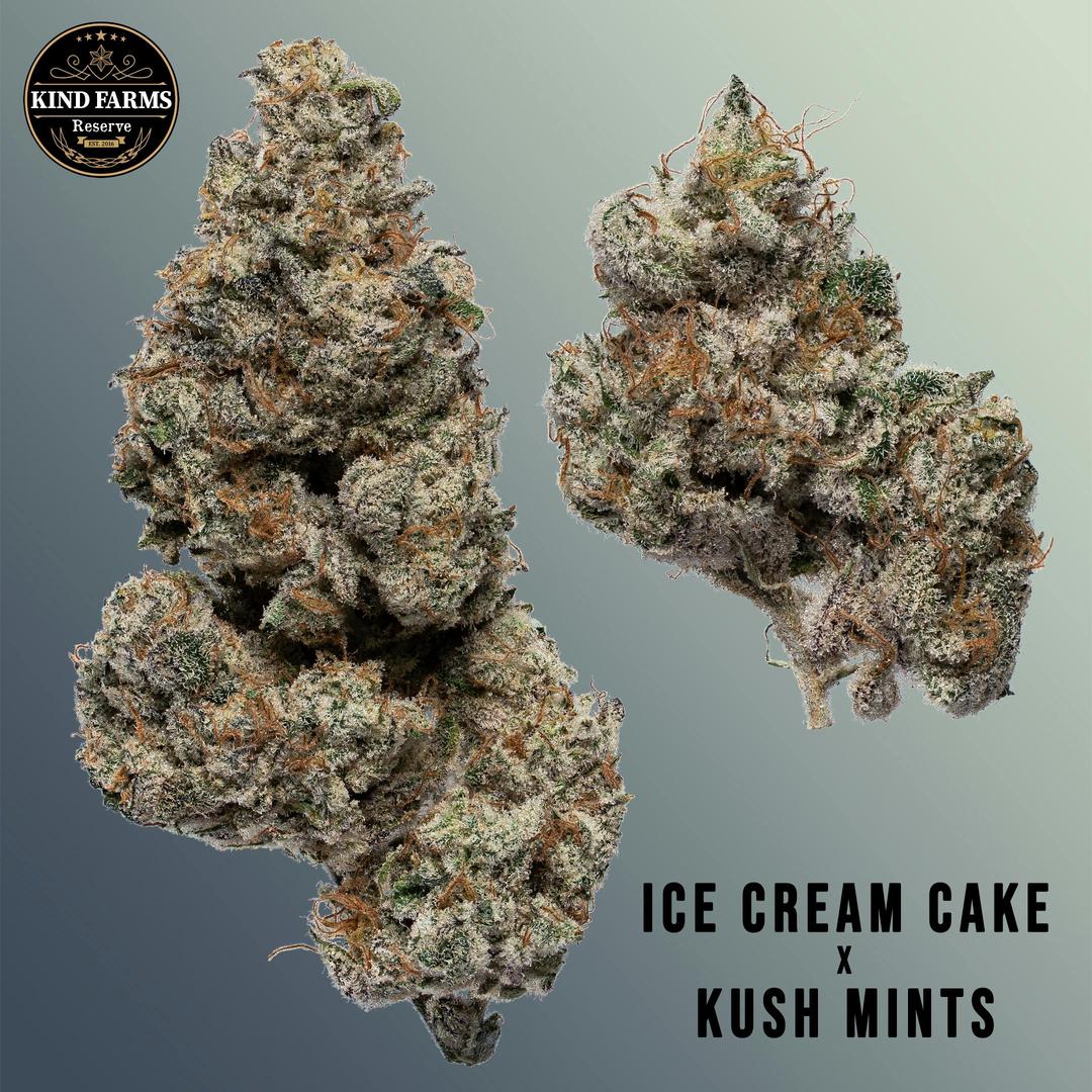 Ice Cream Cake x Kush Mints - Kind Farms Reserve