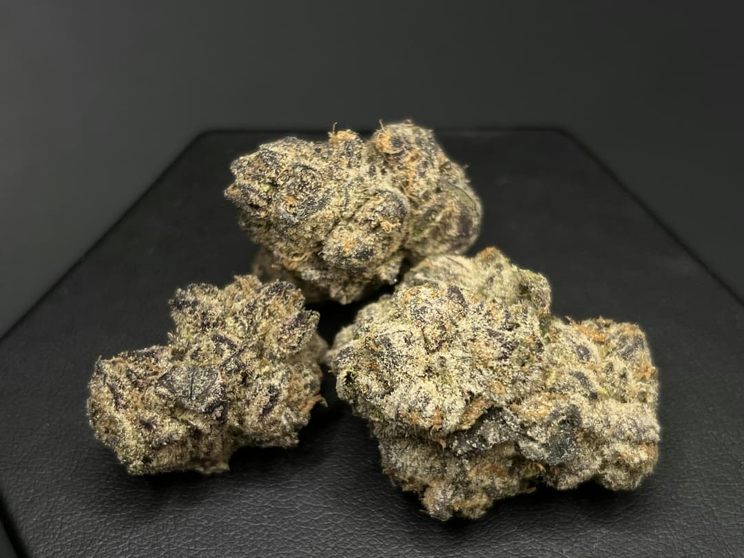 GELATO POP