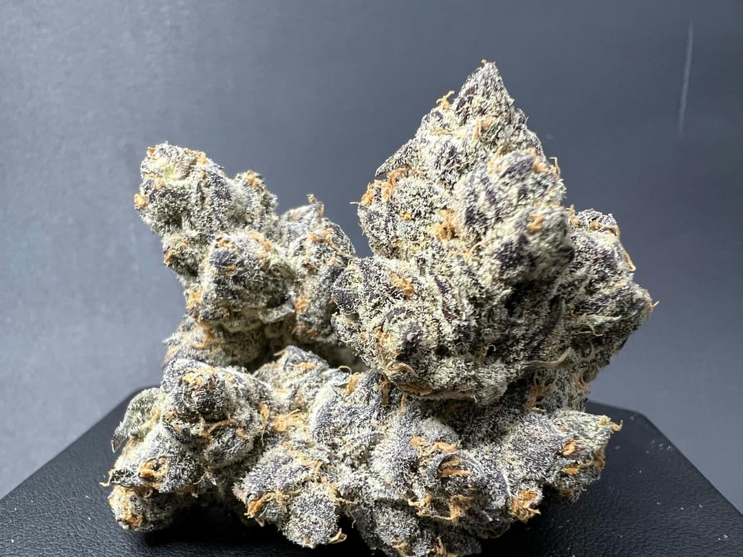 APPLE FRITTER