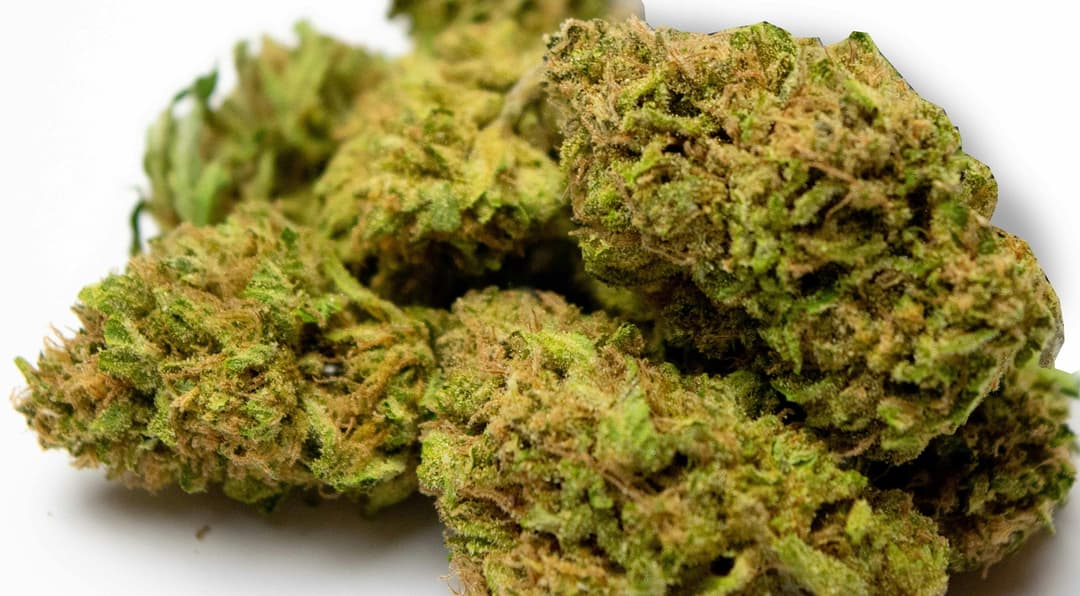 Blueberry Muffin 1 Gram (23% THC, Indica)