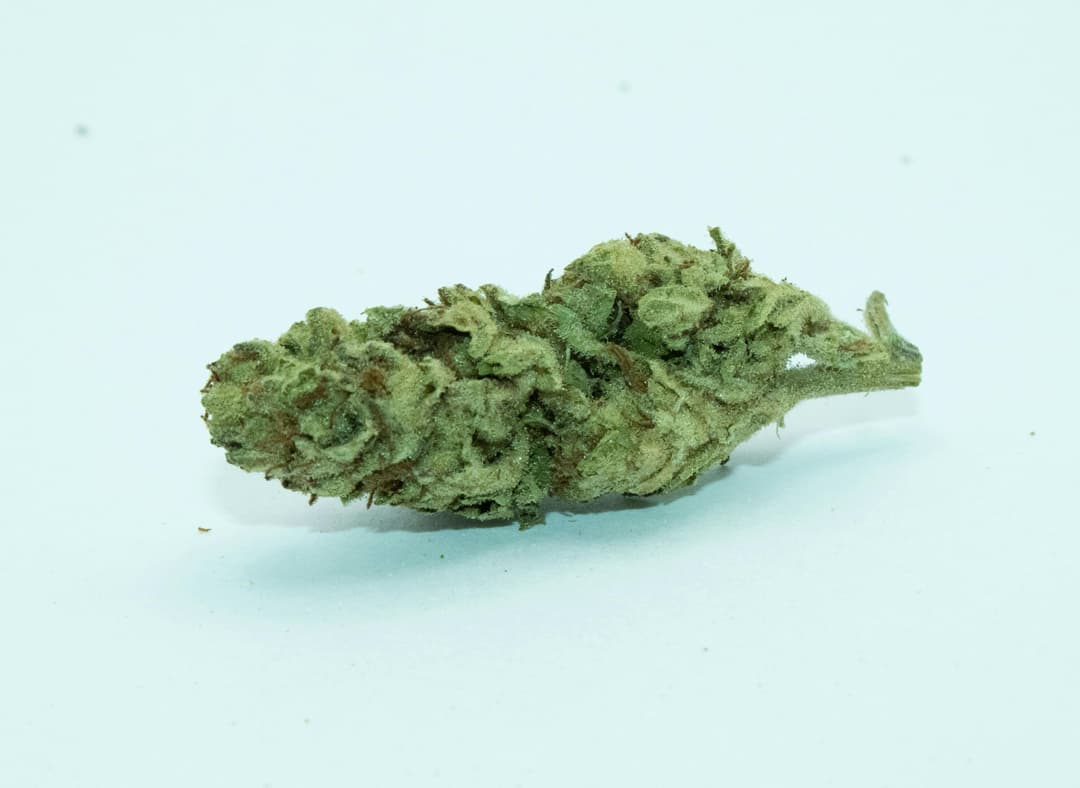 Slurricane 1 Gram (28%THC, Indica)